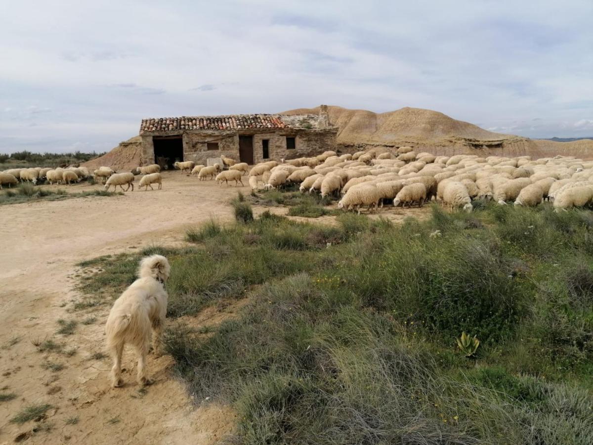 Alojamientos La Alberca Arguedas Bagian luar foto